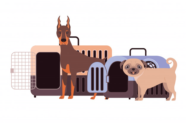 dog cat moving services