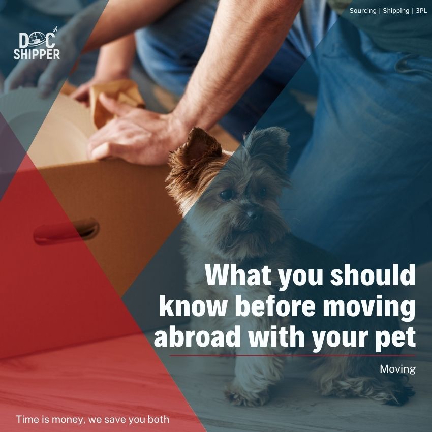 What you should know before moving abroad with your pet