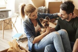 getting ready to move abroad with your pet